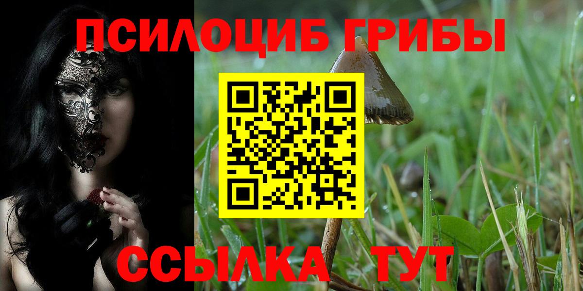Псилоцибиновые грибы ЛСД Черкесск