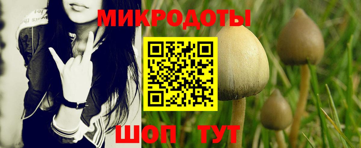 Черкесск  Псилоцибиновые грибы прущие грибы  Вход с VPN 